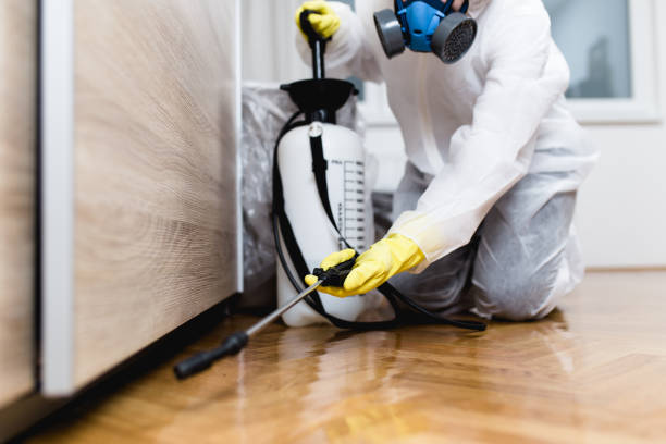Best Cockroach Control Services  in Basye, VA
