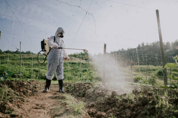 Best Pest Control Cost  in Basye, VA