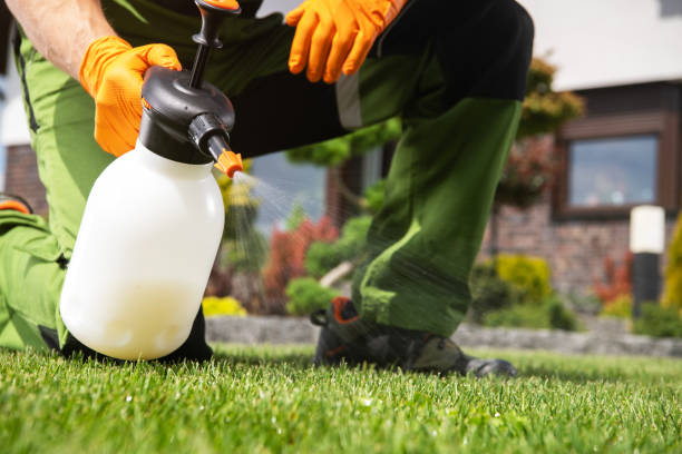 Insect Control in Basye, VA