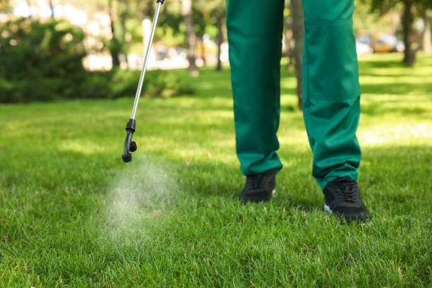 Best Rat Extermination Near Me  in Basye, VA