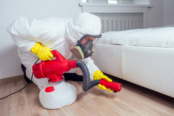 Reliable Basye, VA Pest Control Solutions