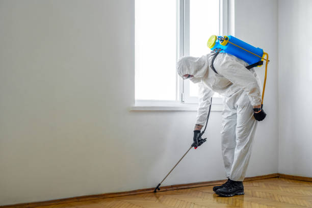 Best Cockroach Control Services  in Basye, VA