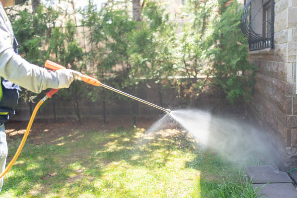Trusted Basye, VA Pest Control Experts