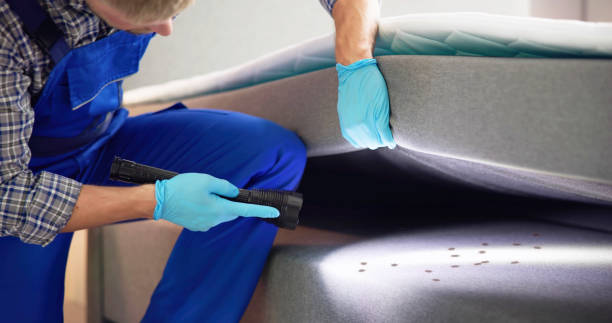 Best Best Pest Control Companies  in Basye, VA