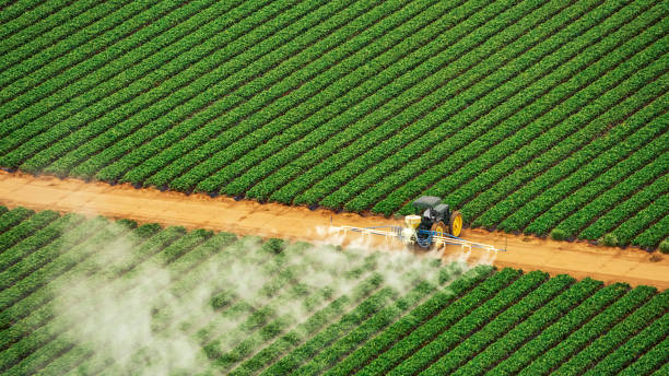 Pest Control Cost in Basye, VA